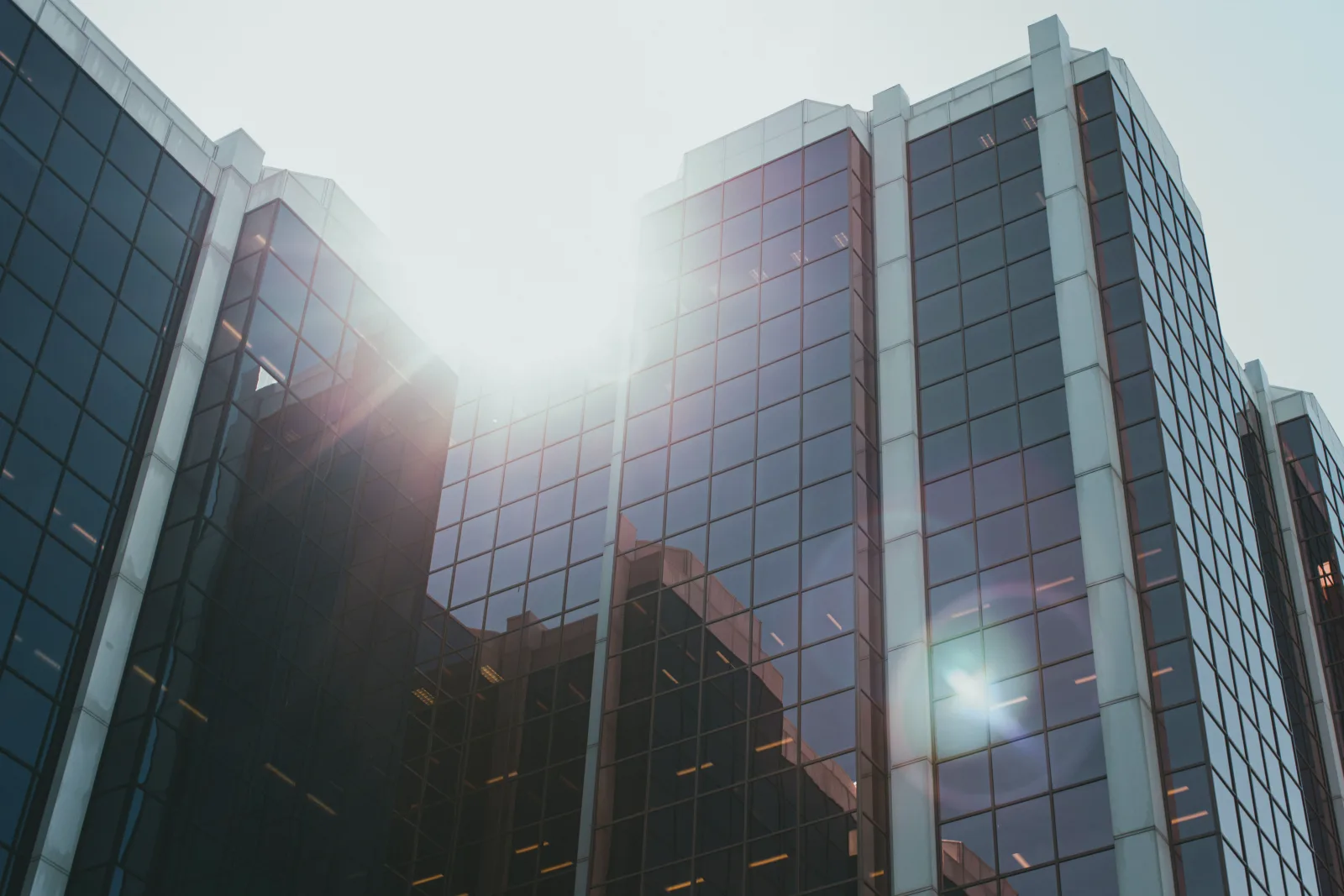 A business street in morning light, with office frontages along the pavement