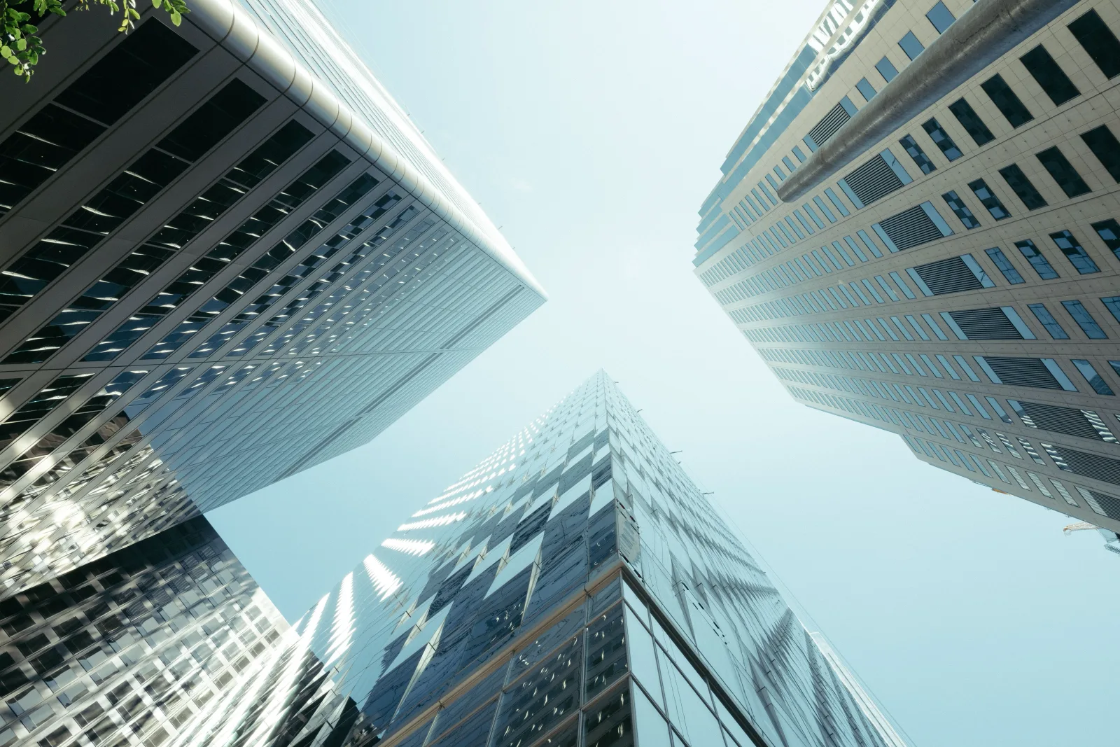 Office buildings and pavement in the business quarter on a weekday morning